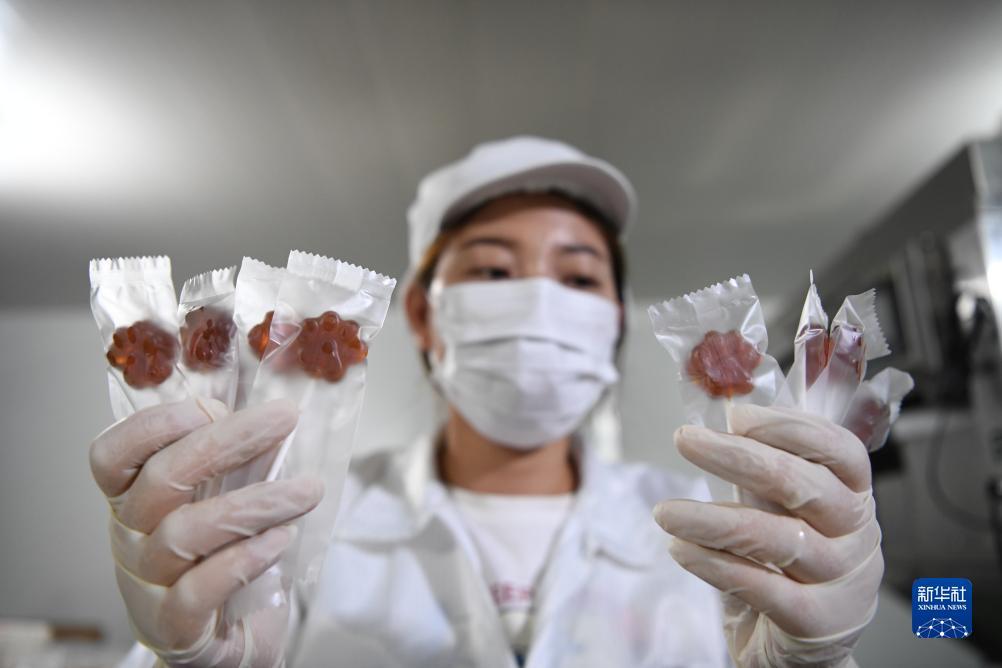 乐玩游戏下载正版